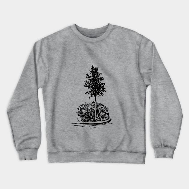 Tree and flowerbed. City landscape on your things. Crewneck Sweatshirt by ElizabethArt